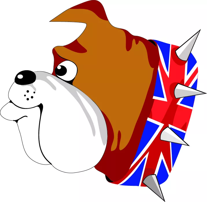 british bulldog ответы